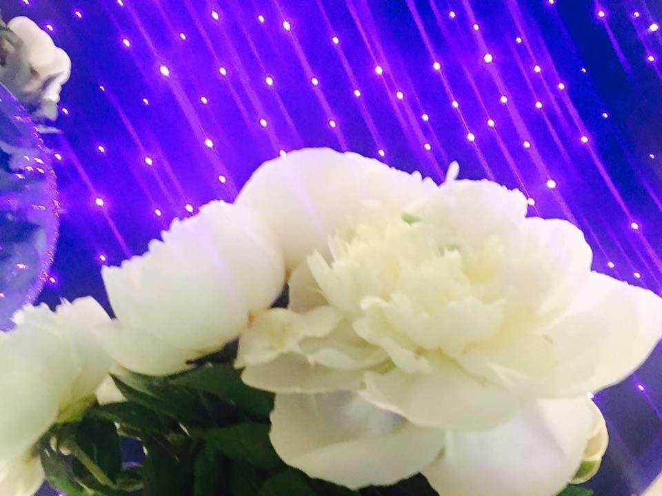Da Rita Hotel 콘디노 외부 사진